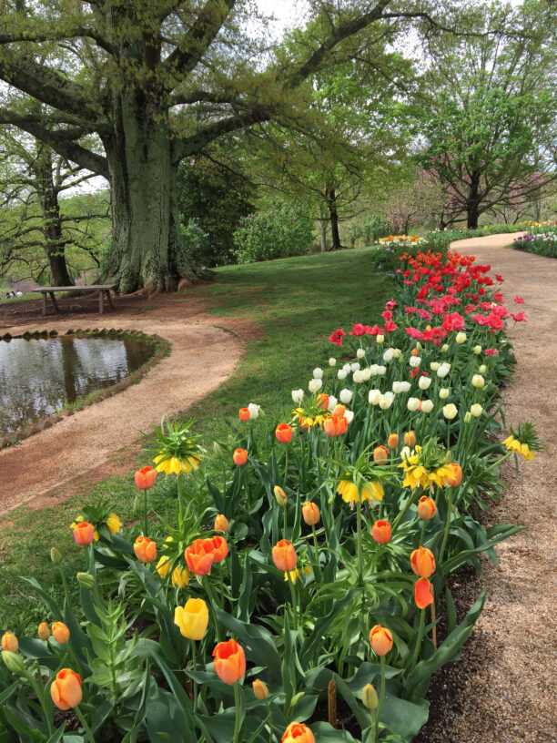 Springtime in Virginia and Washington D.C.