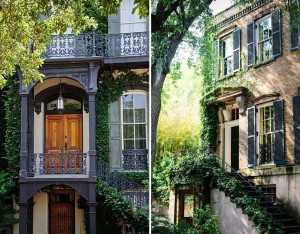 Savannah-house