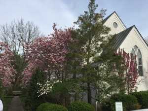 Springtime in Virginia and Washington D.C.