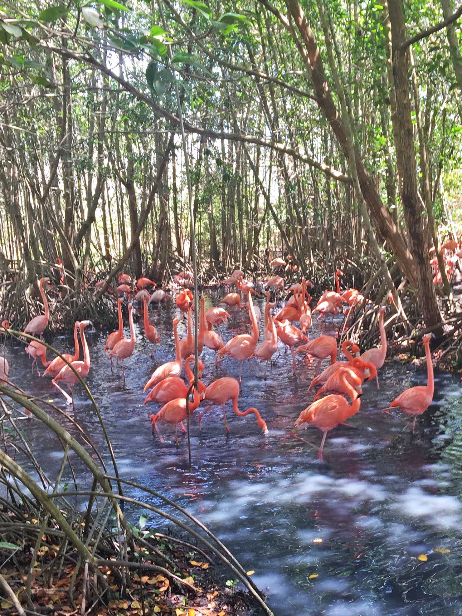 The National Aviary of Colombia 