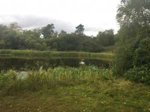 cromlix